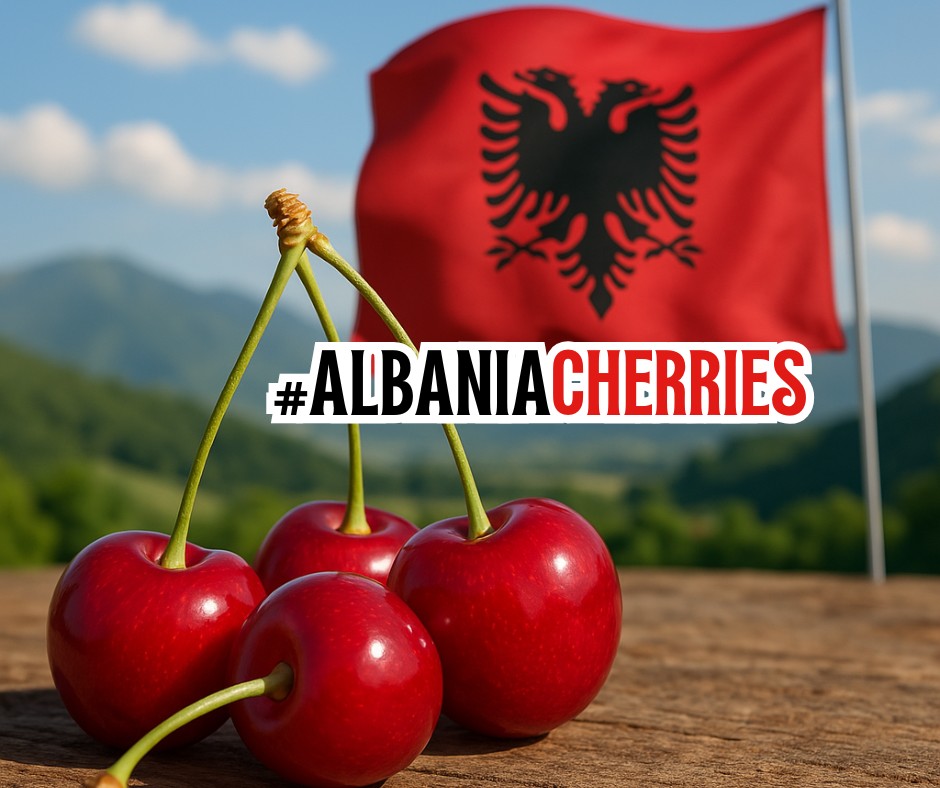 Around the World in 40 Fruits – Volume 10 – (Article 10 of 40) By Dr. Marli Botha