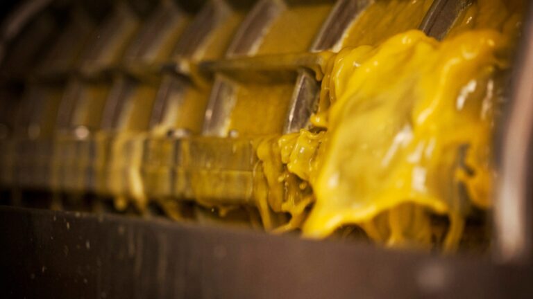 Fresh citrus representing the quality heritage of Magalies Citrus