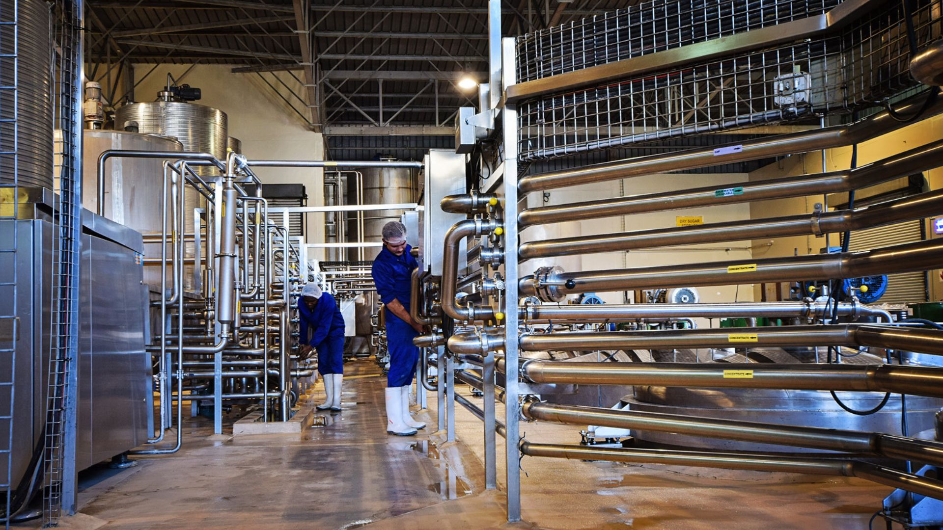 Careers at Magalies Citrus offering long-term growth and development opportunities