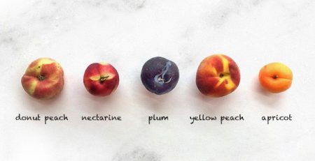 Nectarine - Magalies Citrus